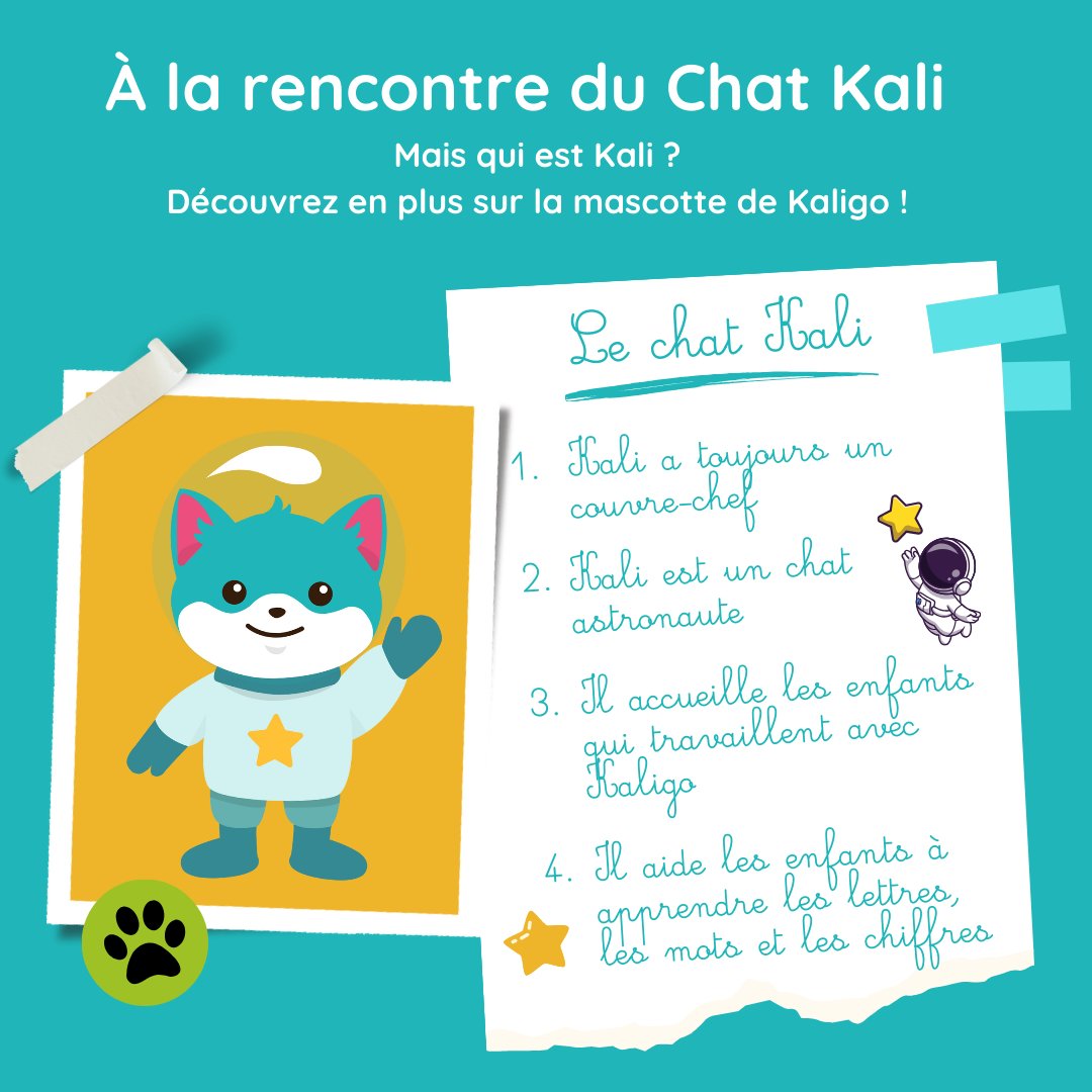 Kaligo - Qui est le chat Kali ? Découvrez en plus sur la mascotte de ...