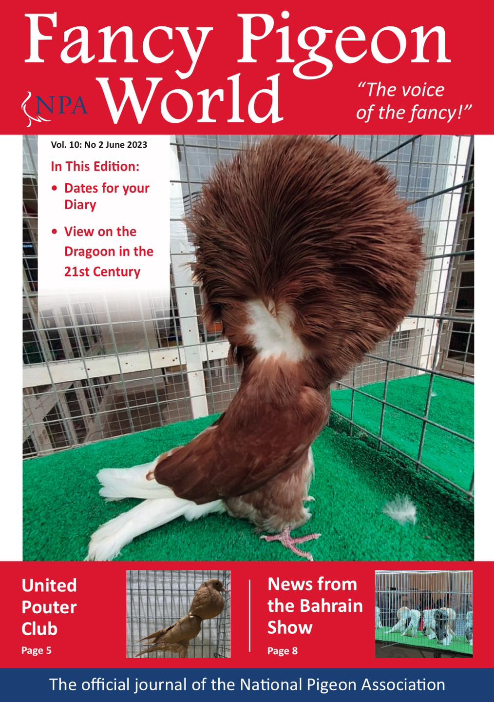 National Pigeon Association GB
