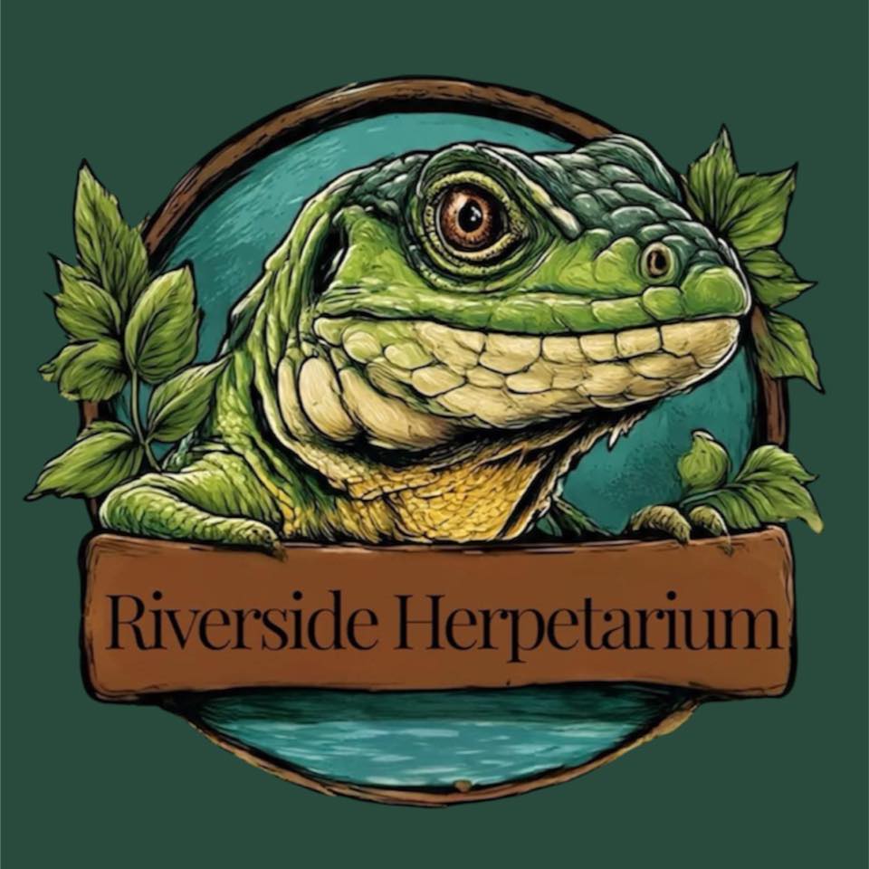 🛠️ Custom Built Rodent Racking... - Riverside Herpetarium LLC | Facebook