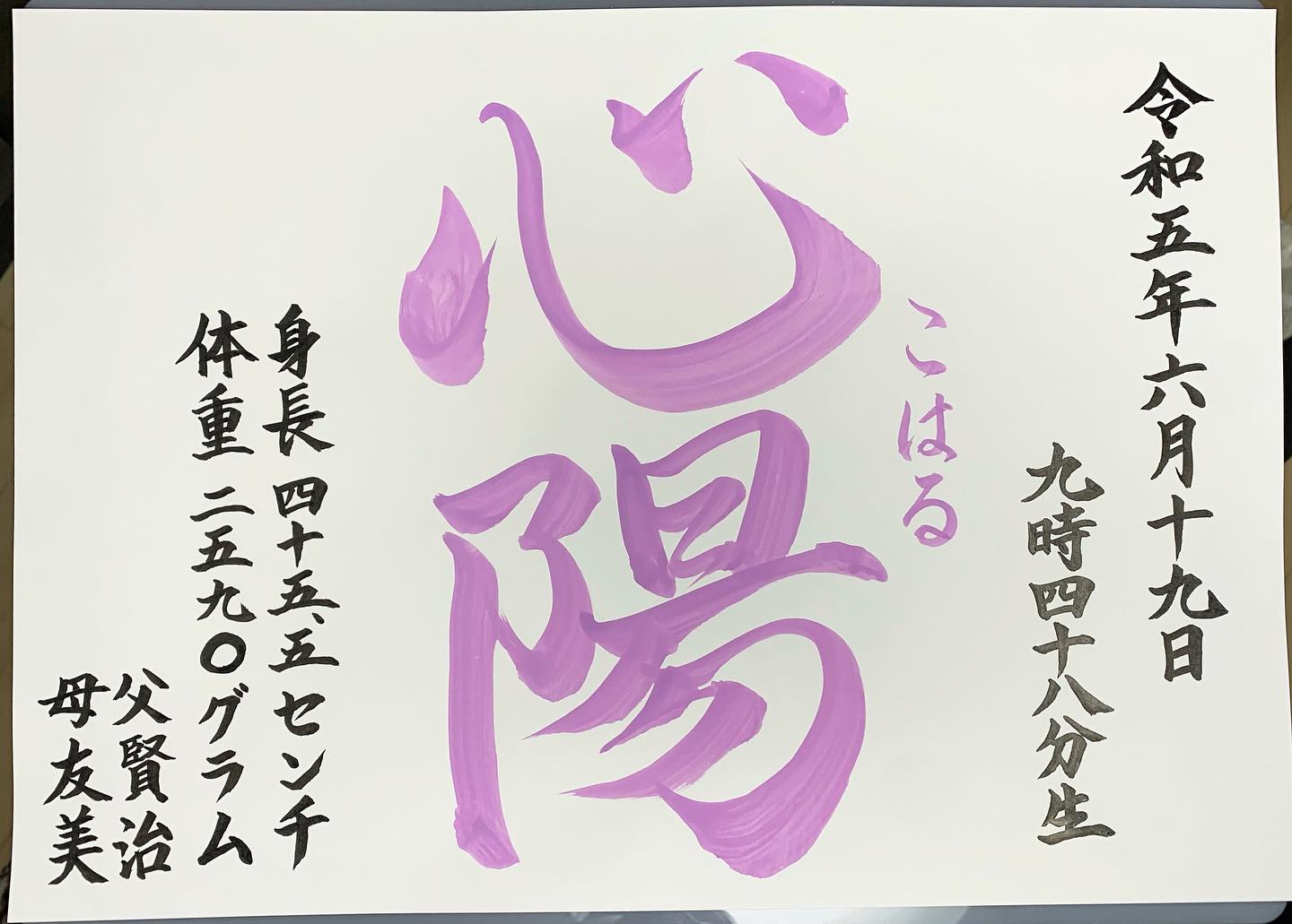心陽」 命名書を書かせていただきました✨ #小笠原洞尊 #芸術 #書道