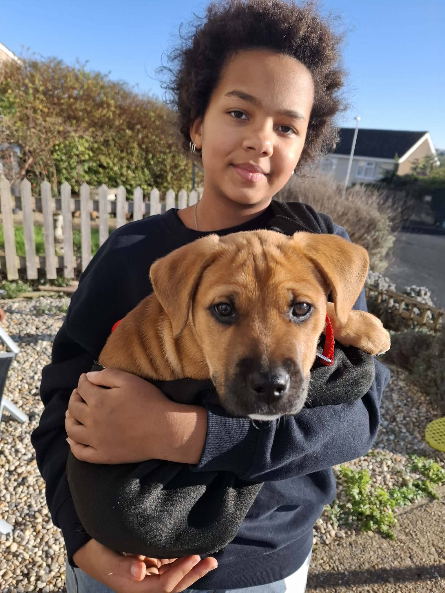 Angels 4 Dogs... - Angels 4 Dogs Rescue Charity No: 1177918