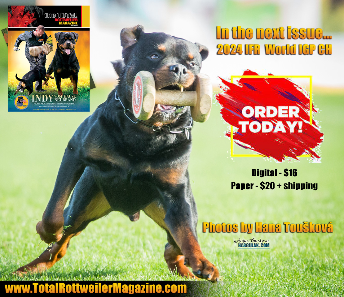 Team Extreme Rottweiler