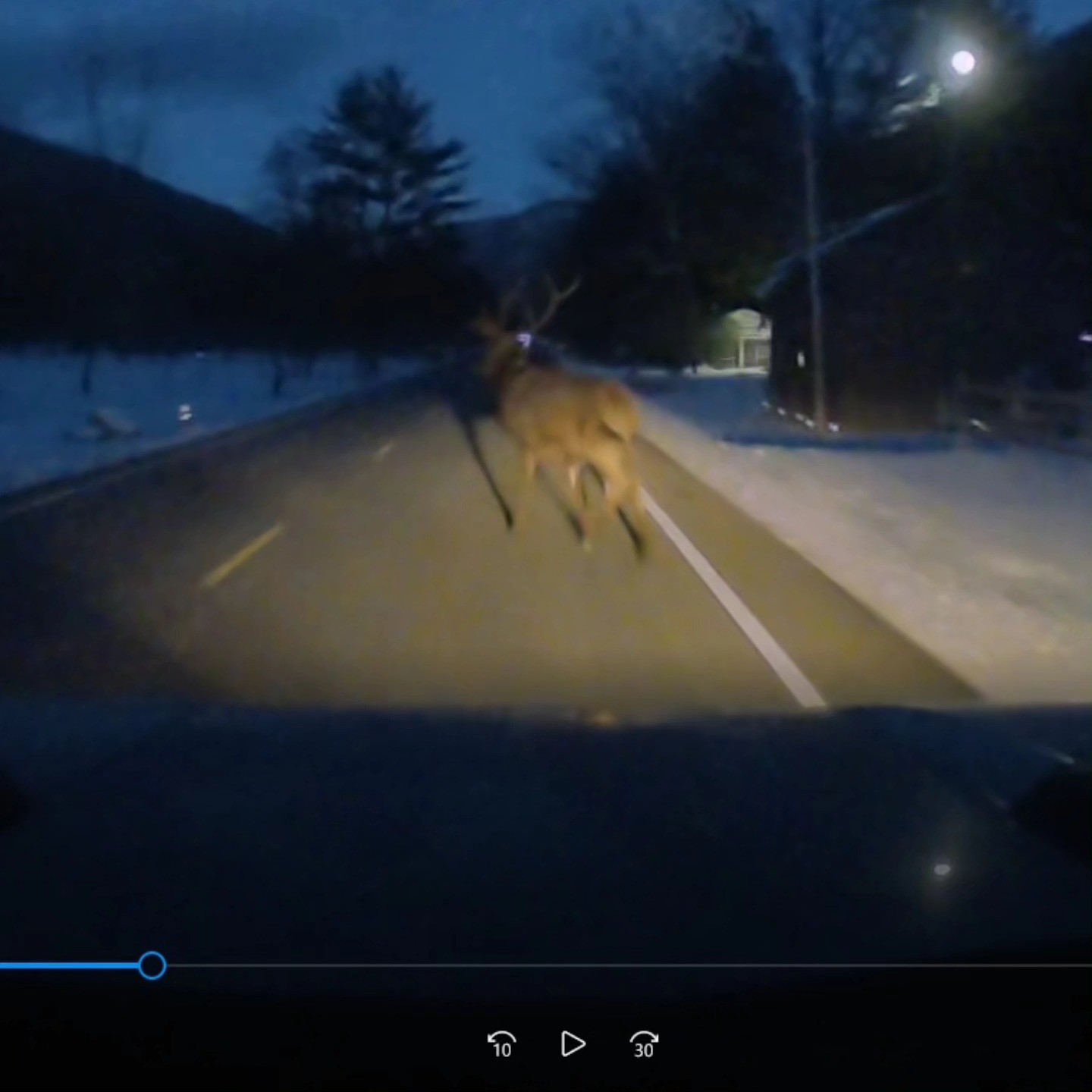 So, about that elk that Jason... - Dukes of Biohazard Racing | Facebook