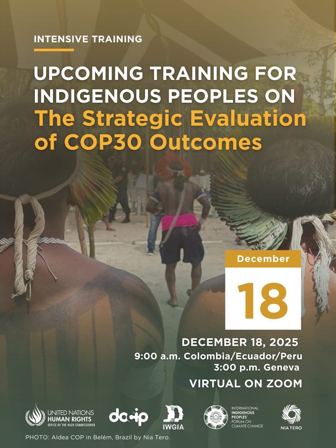 UN - Indigenous Peoples are taking stock of COP30! Join a powerful post ...
