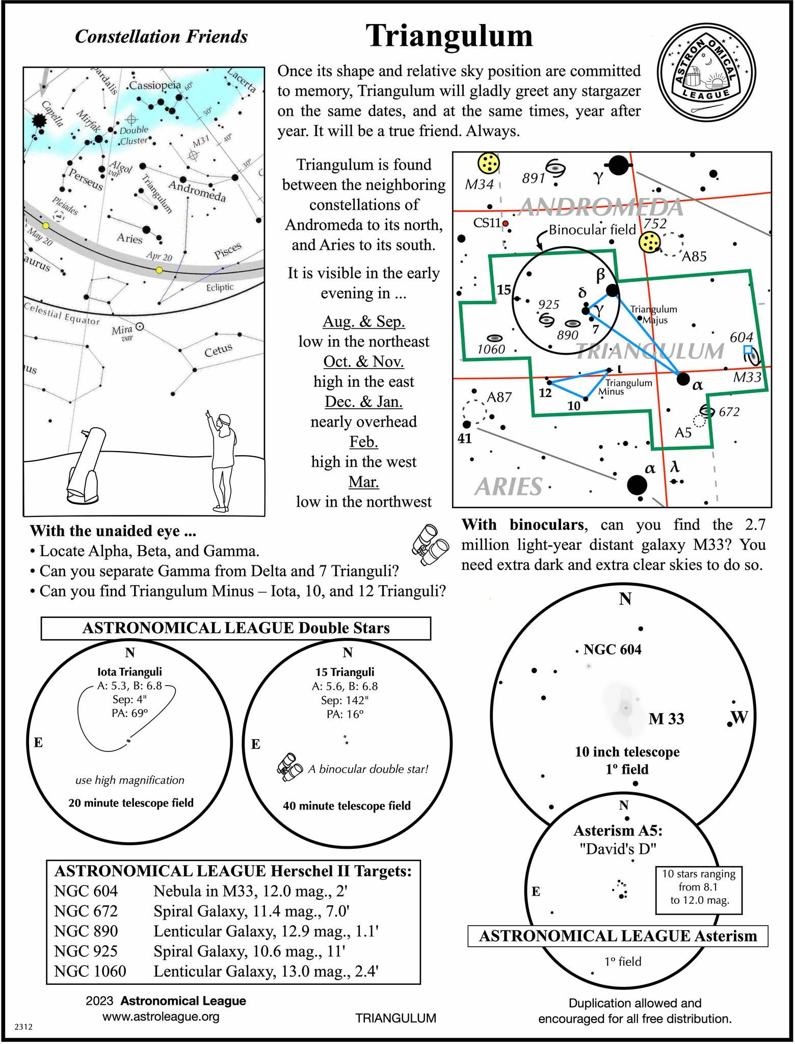 Astronomical - In this December sky, why not pick out a constellation ...