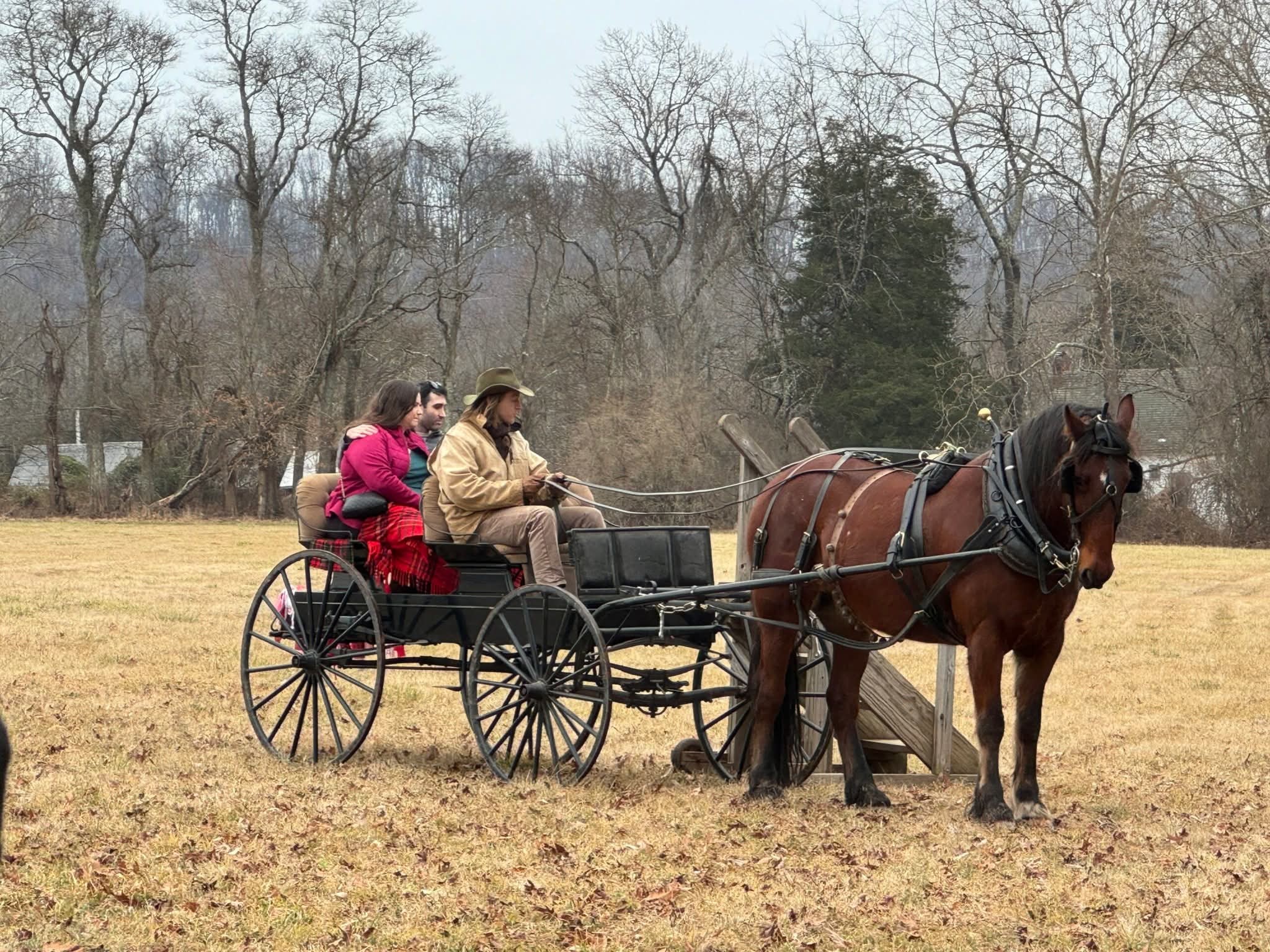 City - 🐴 Hold your horses — literally! 🐴 We’re so excited to share that ...