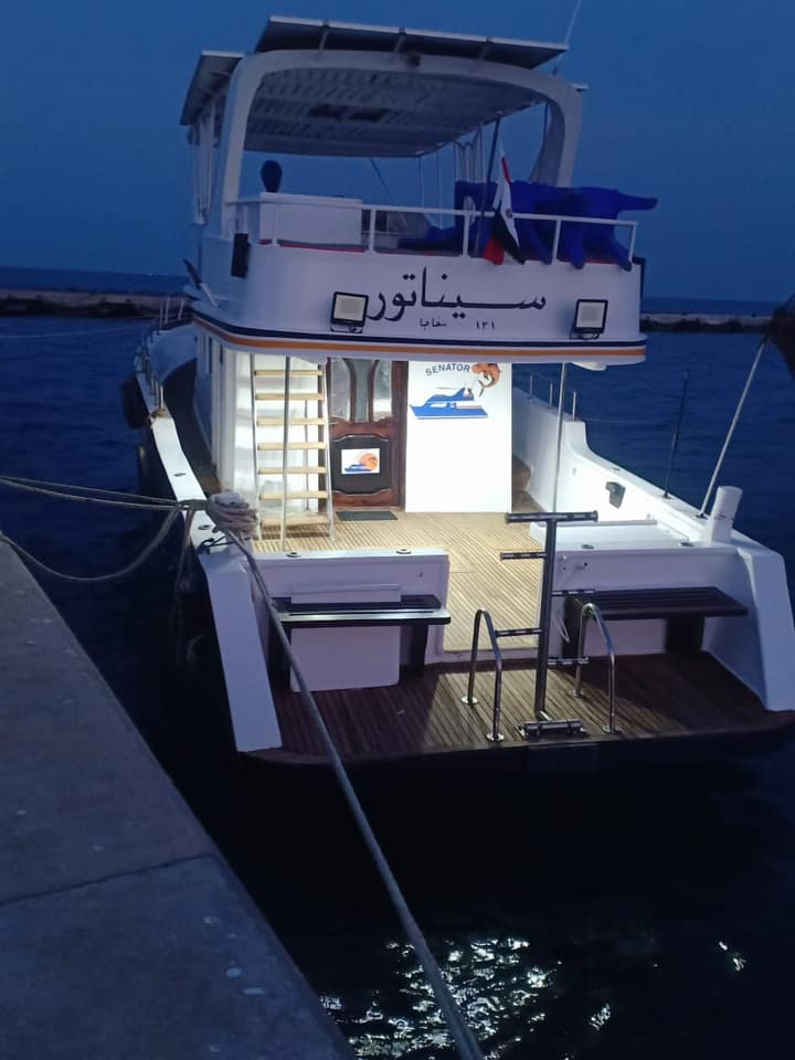 Fisho Ahmed Fawzi