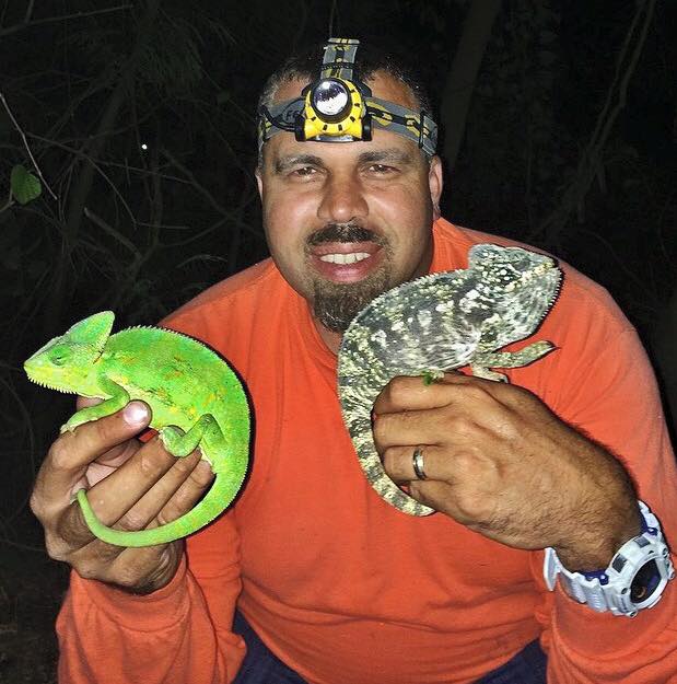 Florida - #TBT to a great night removing 2 species of chameleons not ...