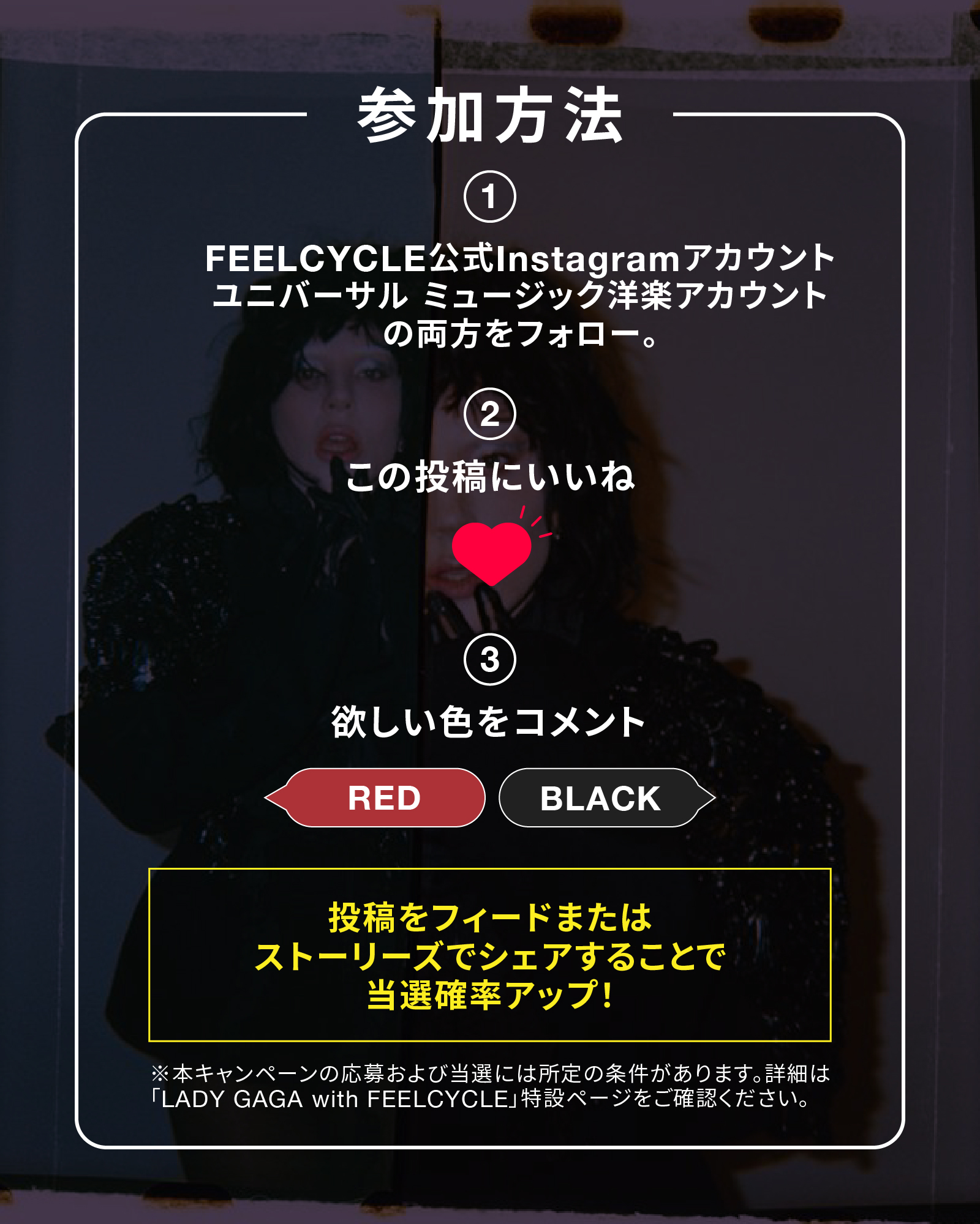 ◇New Program Information◇ 最新ライブツアー「The MAYHEM Ball」の