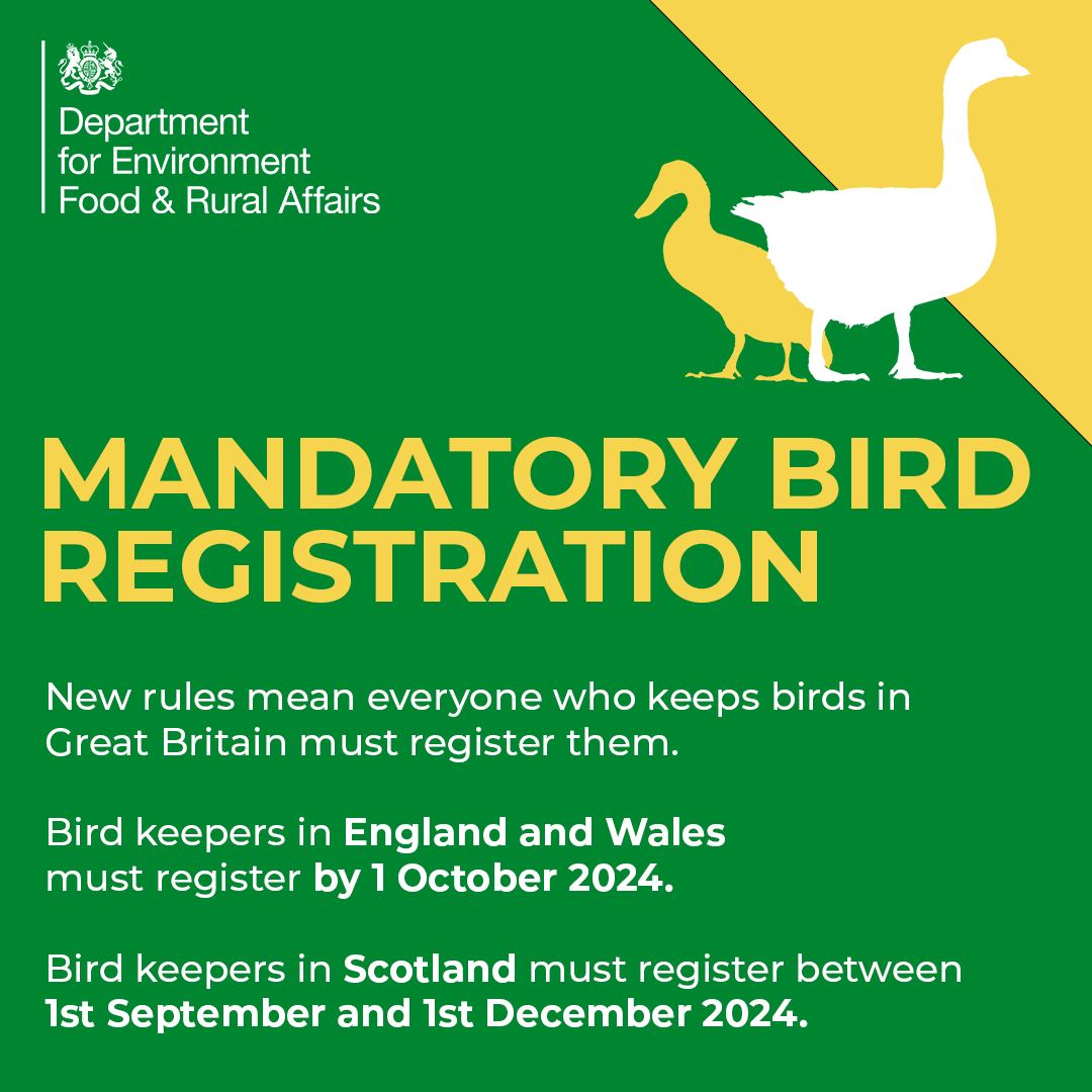 Medivet - Did you know that if you own birds you now have...