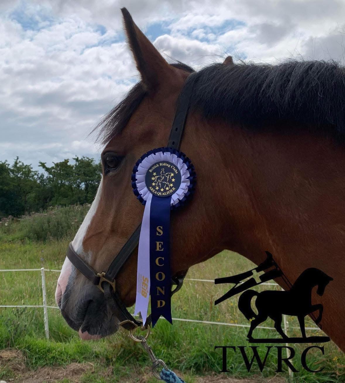 TWRC Open Dressage Show
