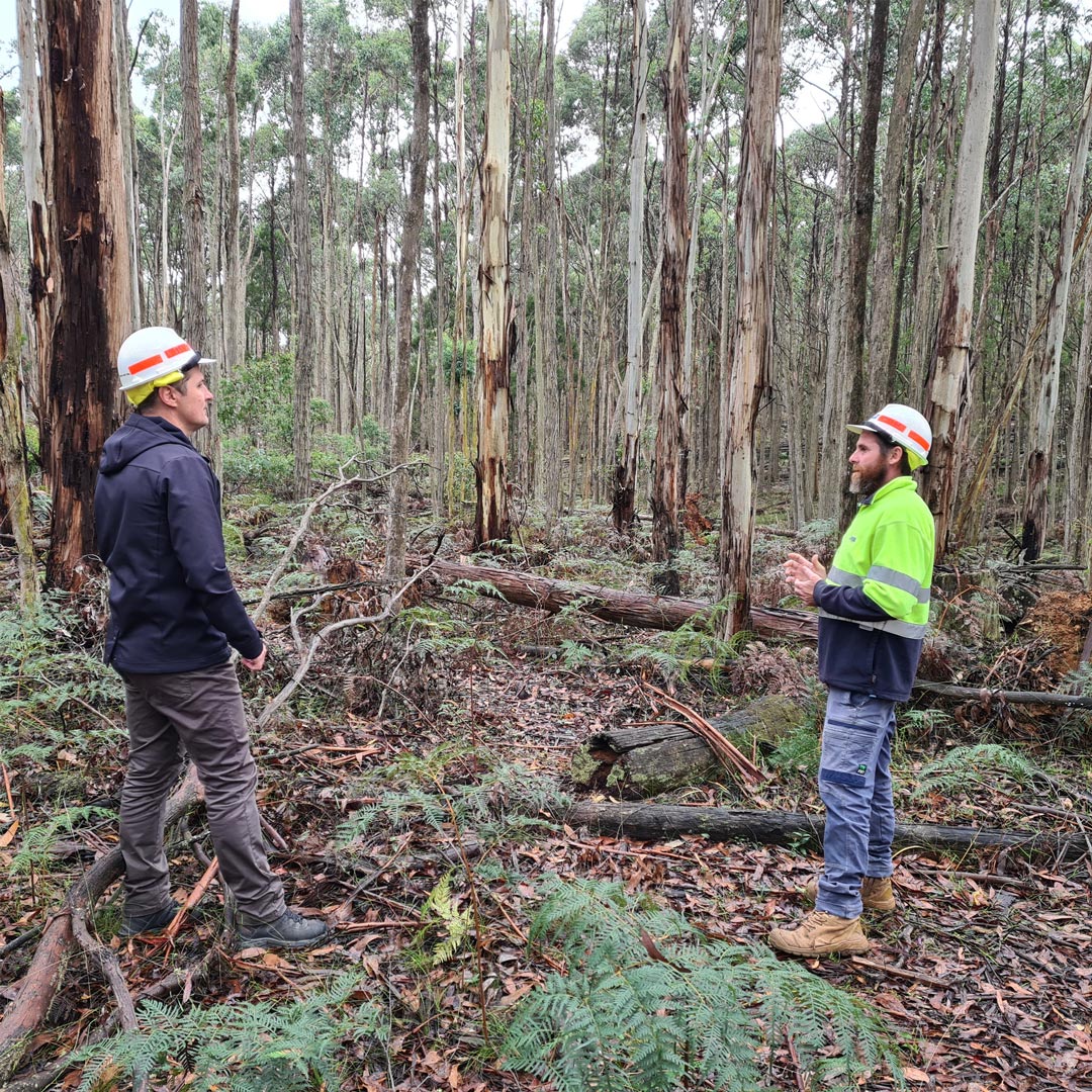 Timber - WITH the phrase net zero being bandied around, and the ever ...