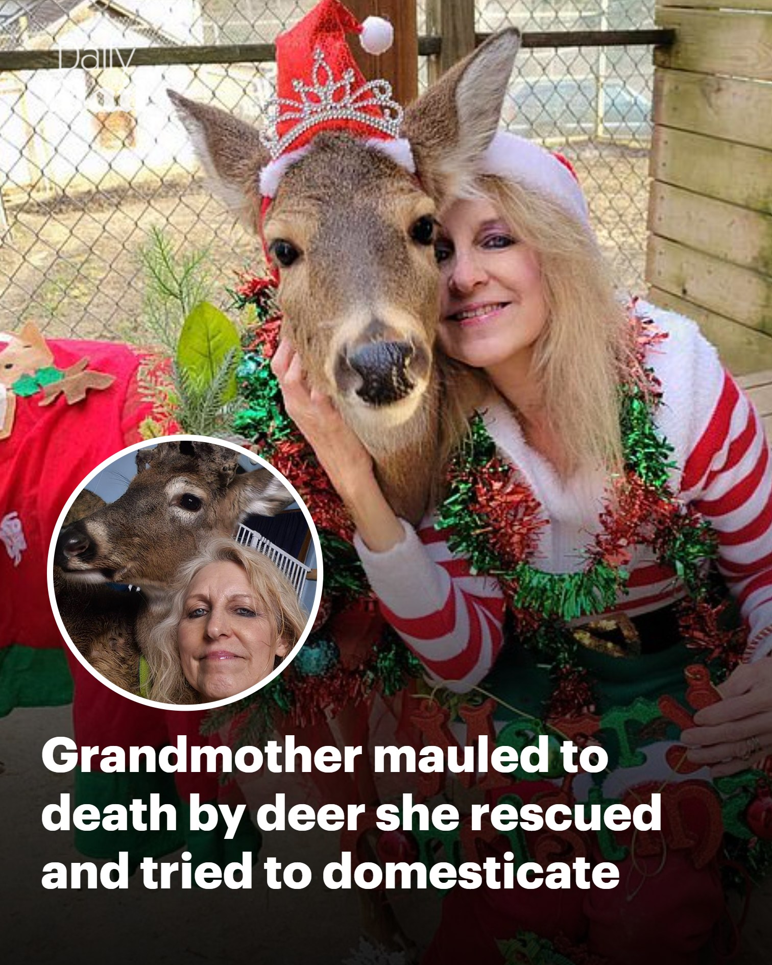 Daily - An awful way to die 💔 | Facebook