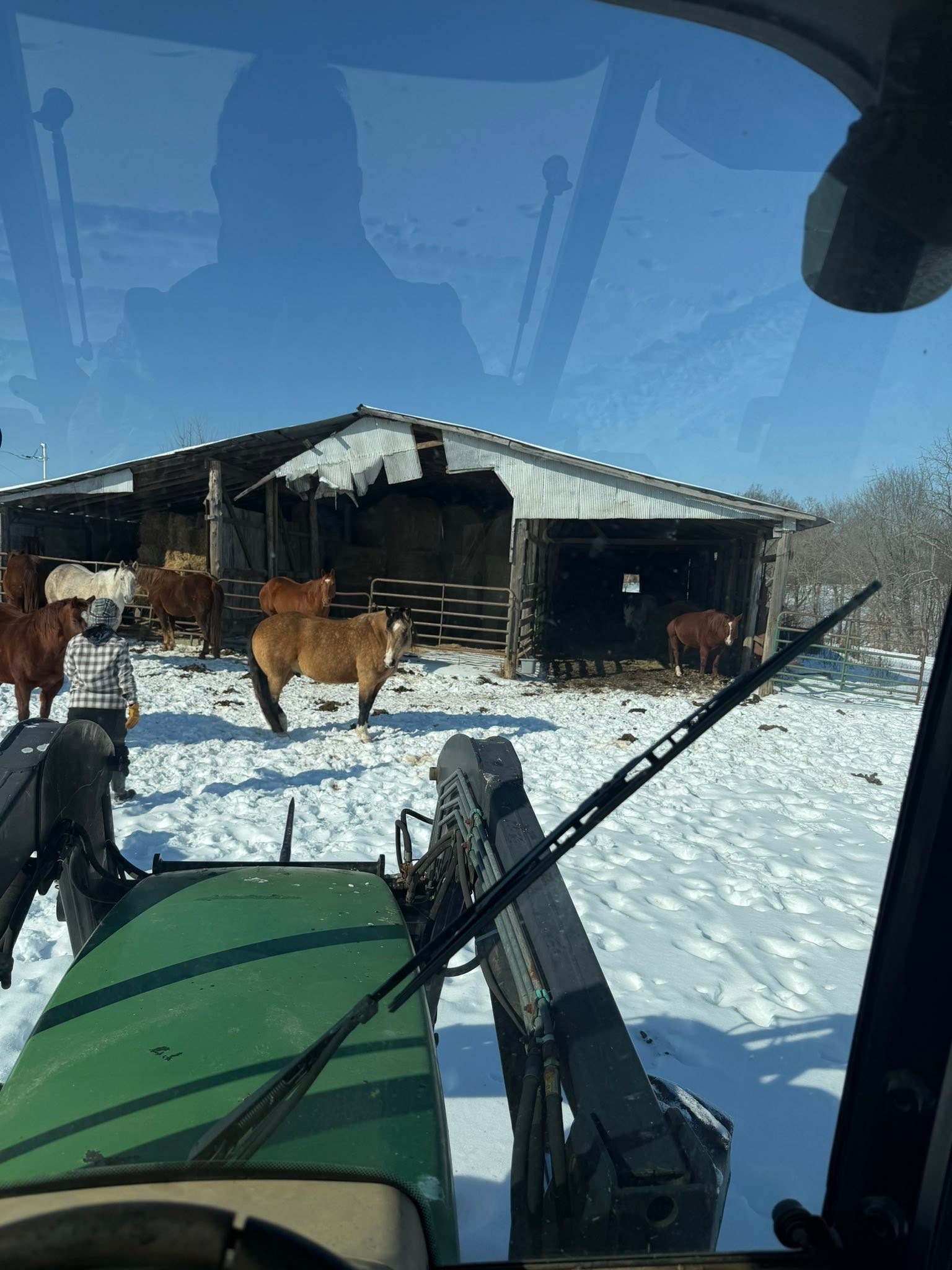 Southern Cross Ranch & RV Park | Vine Grove KY