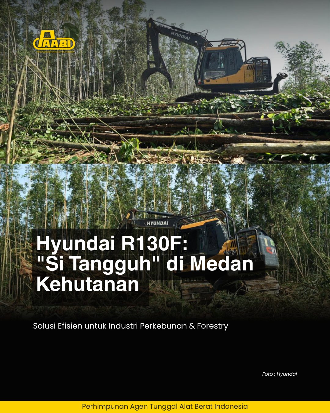 Perhimpunan - Main di medan kehutanan atau perkebunan sawit butuh ...