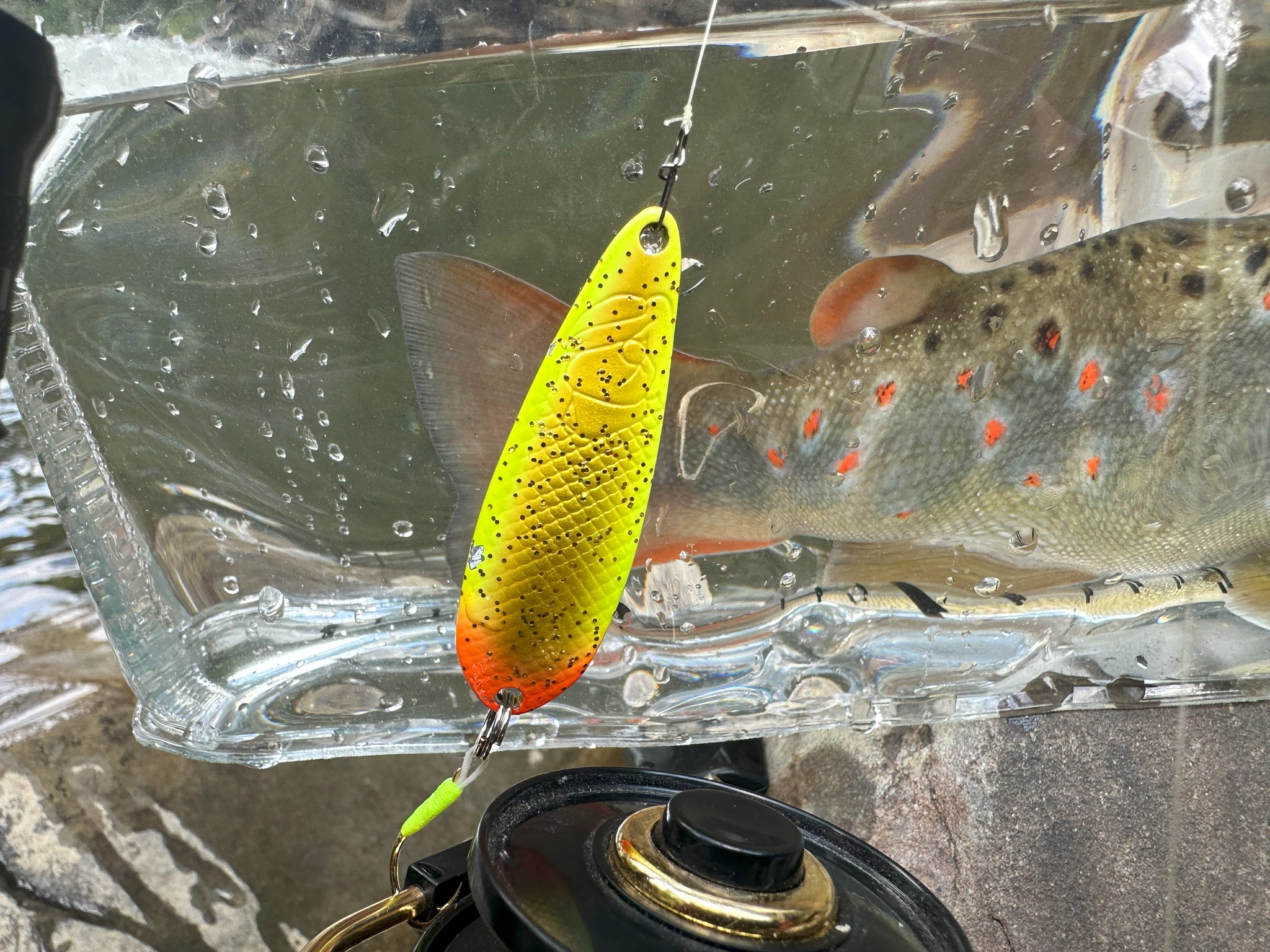 Jerry Fishing