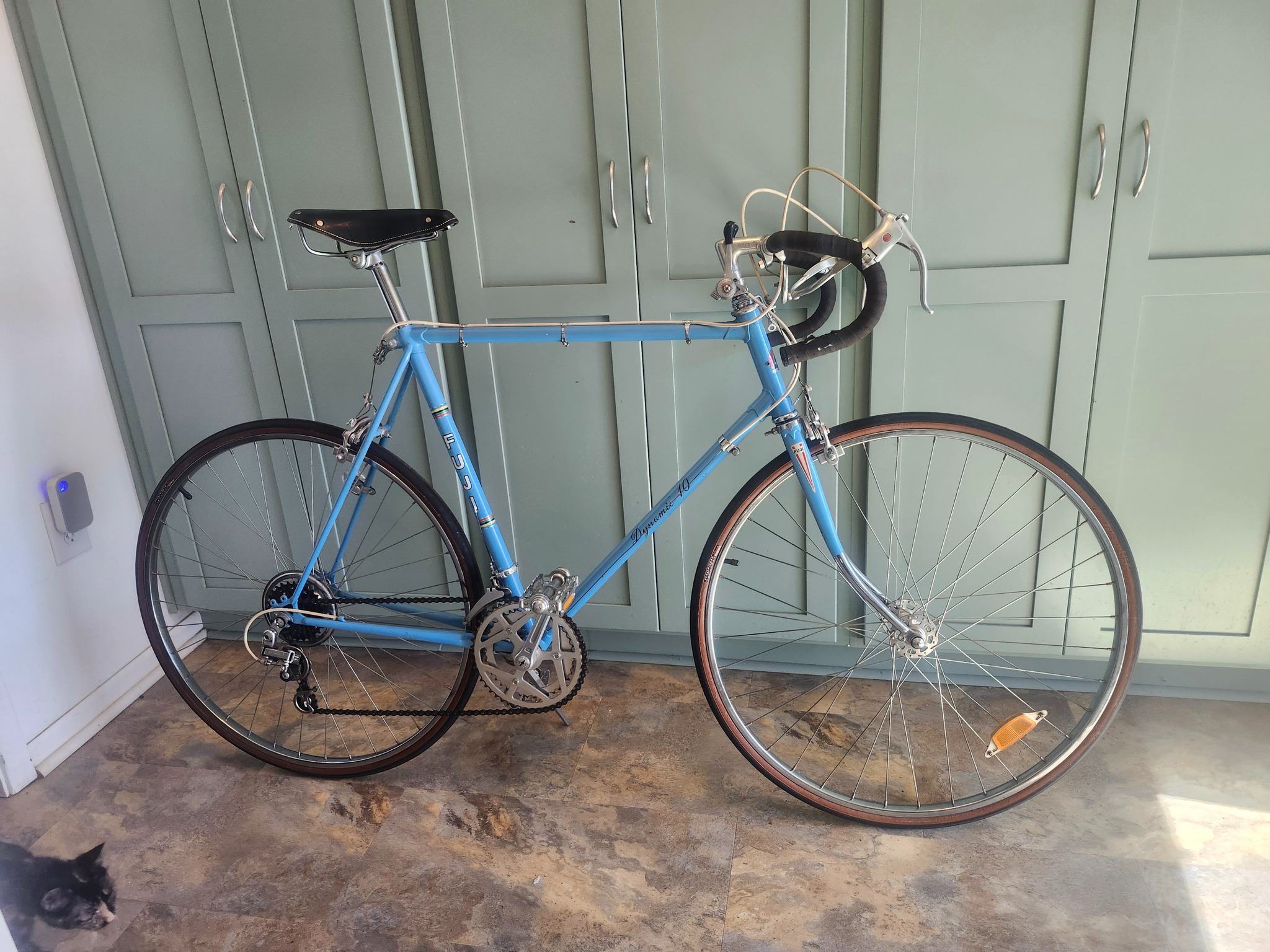 Fuji Dynamic 10 speed bike review needed