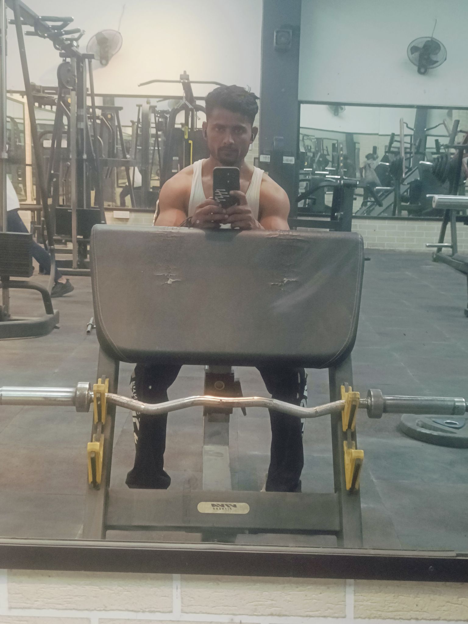 Boss Raja