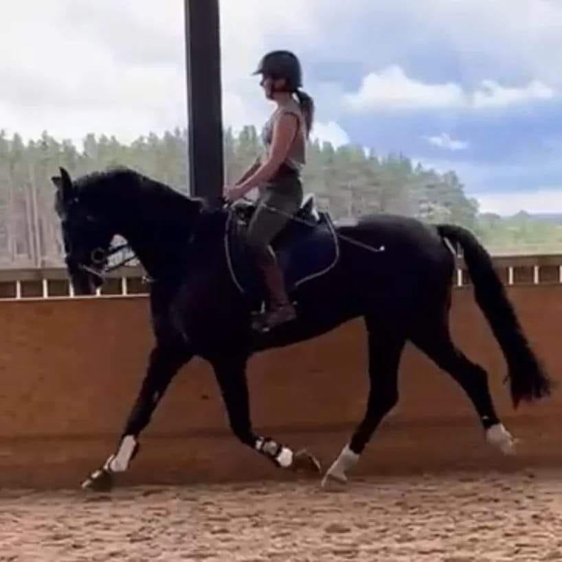 Positive Riders by Josie Watson