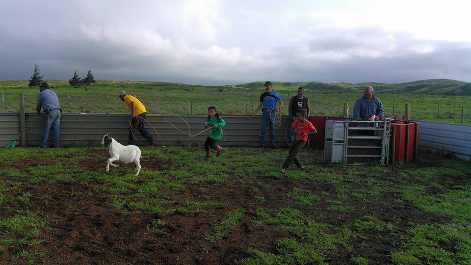Waiākea Uka Ranch | Hilo HI
