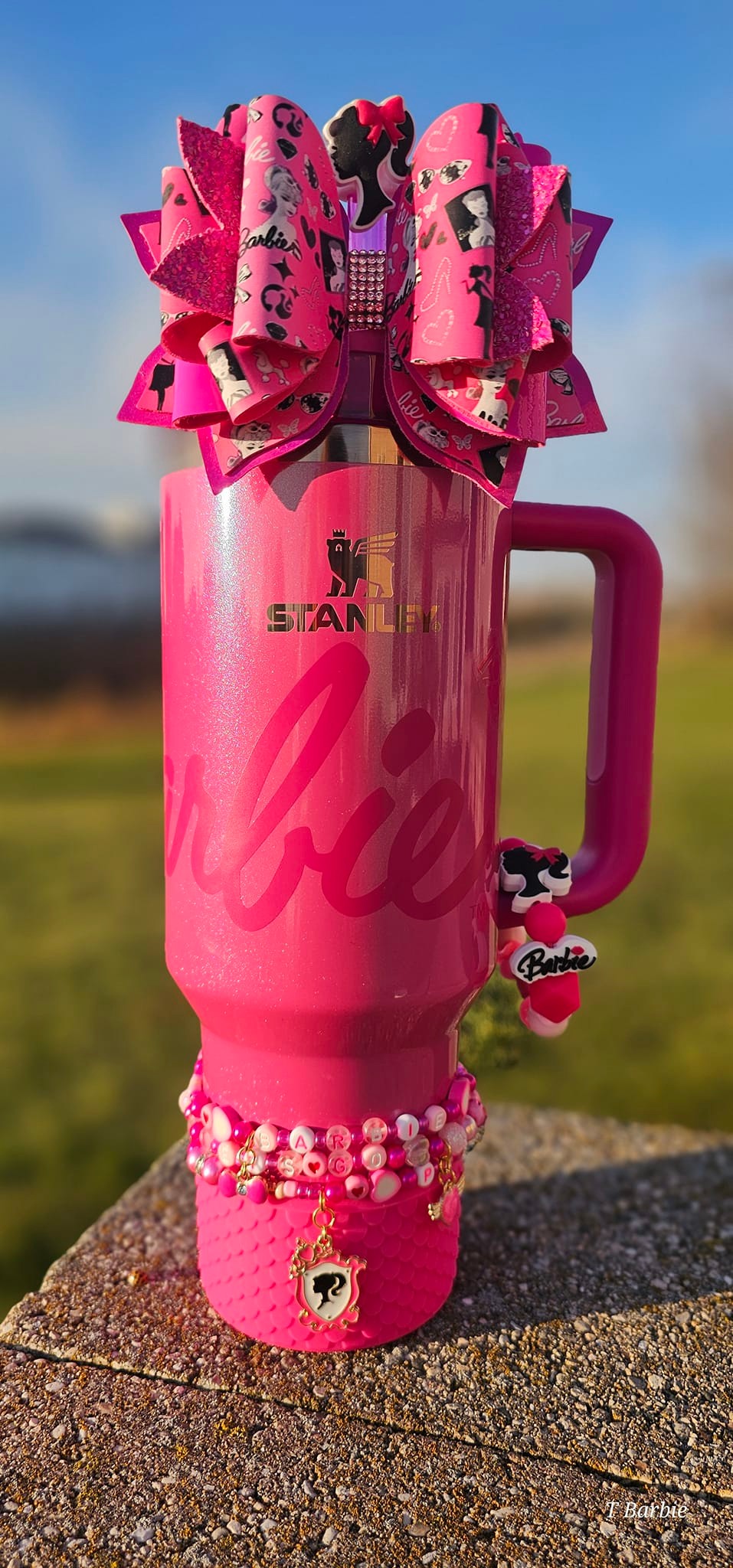 Gourde Stanley X Barbie – 40oz (1,18L) – Étincelante Rose Pailleté – Isotherme Acier Inox – Neuf Sous Emballage