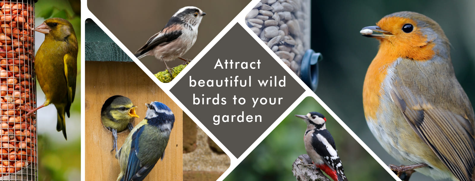 Ivel Valley Wild Bird Food