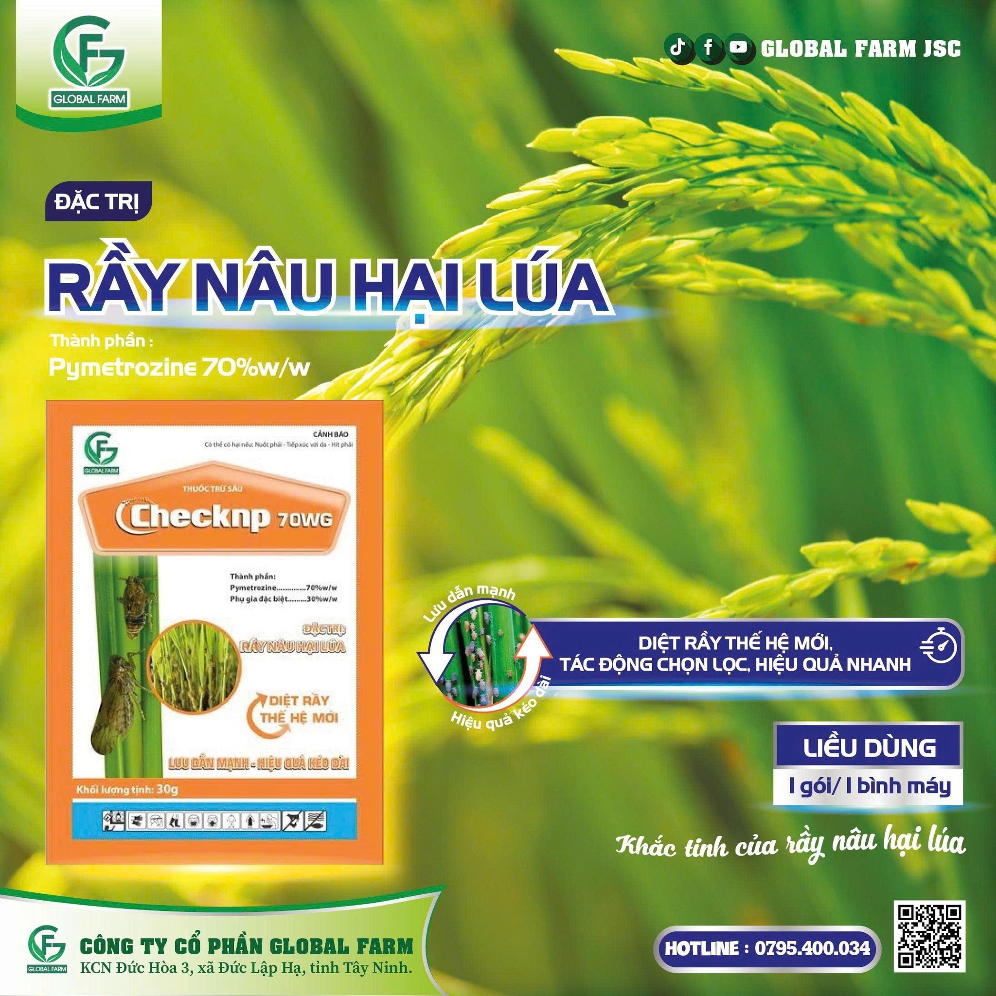 Global Farm JSC - 🌾 ĐẶC TRỊ RẦY NÂU HẠI LÚA – GIẢI PHÁP... | Facebook
