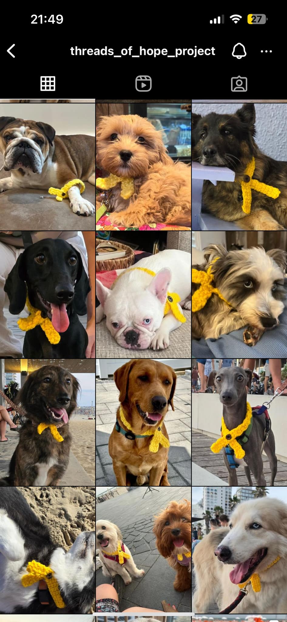Curated visual reference: Fresh Look at Dogs