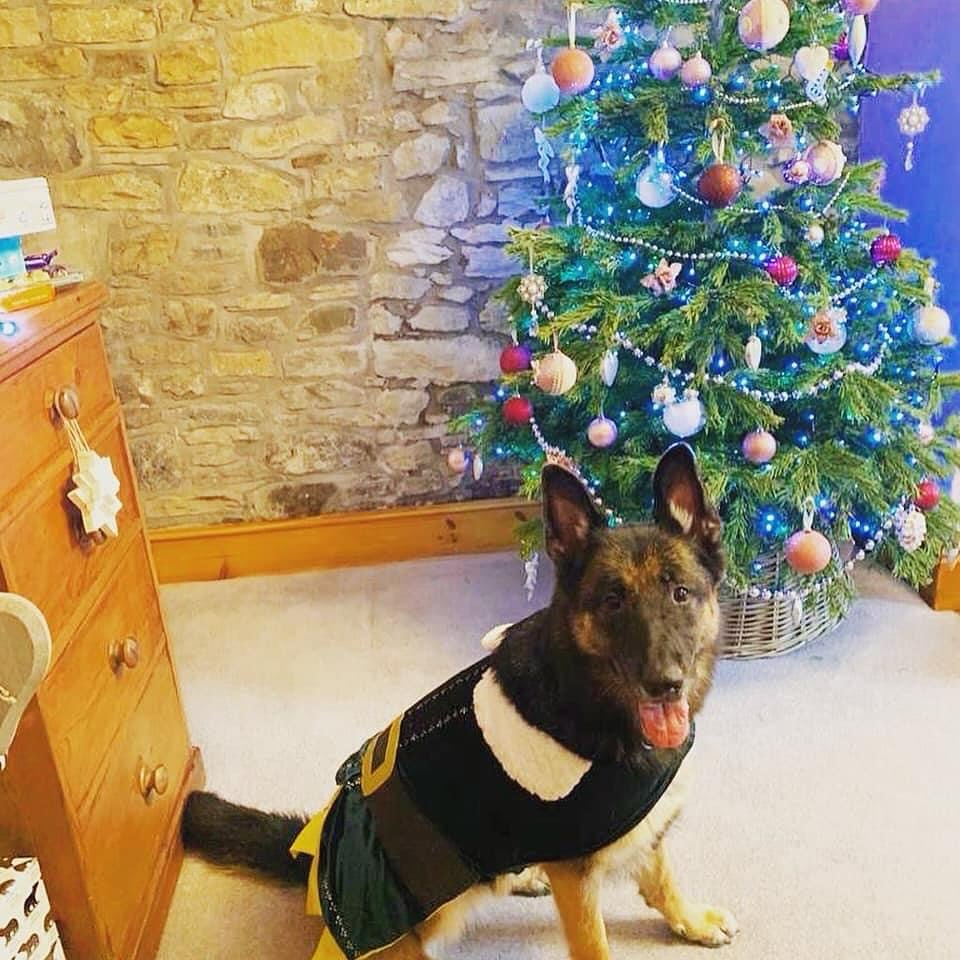 Fabulous Finn - Here’s another amazing RPD who is...