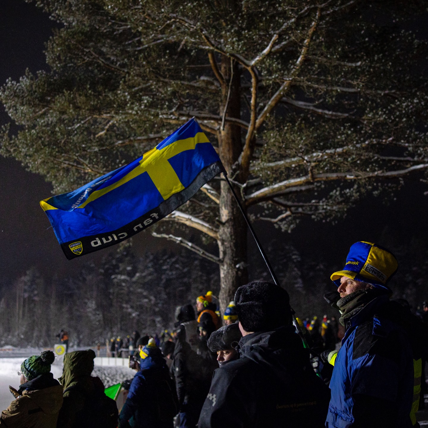 Rally Sweden