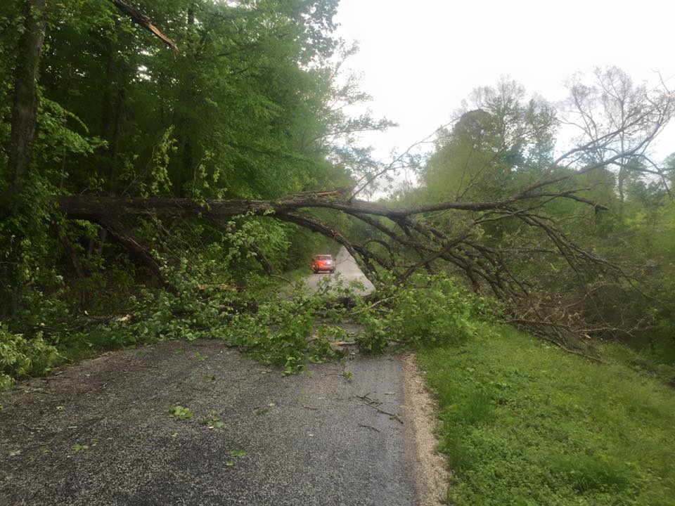 TEVFD - TEVFD on scene of a large tree across a roadway... | Facebook