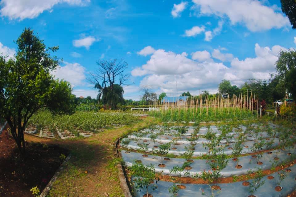 The... - The Manila East Lakeview Farms - Morong, Rizal
