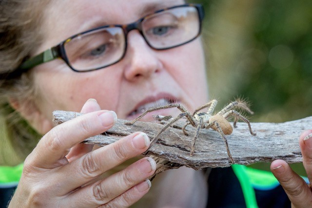South - It’s a bug’s world and we’re just living in it! 🐛 Get up close ...
