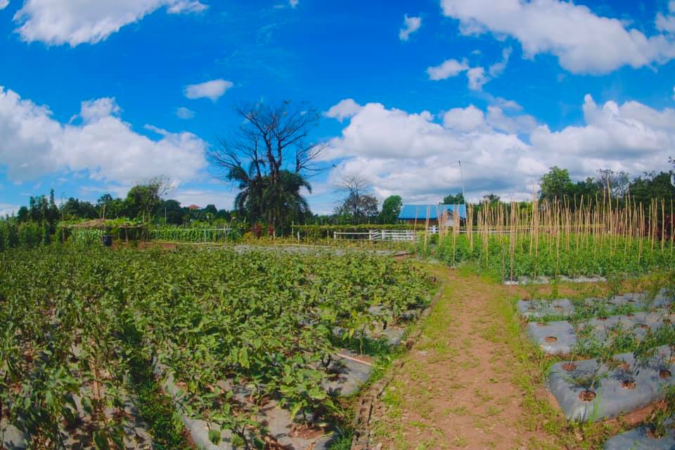 The... - The Manila East Lakeview Farms - Morong, Rizal