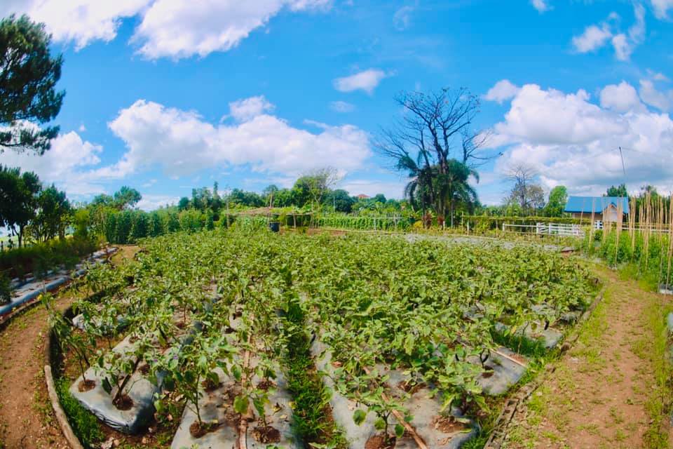 The... - The Manila East Lakeview Farms - Morong, Rizal