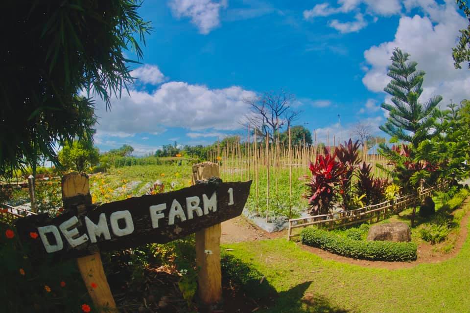 The... - The Manila East Lakeview Farms - Morong, Rizal