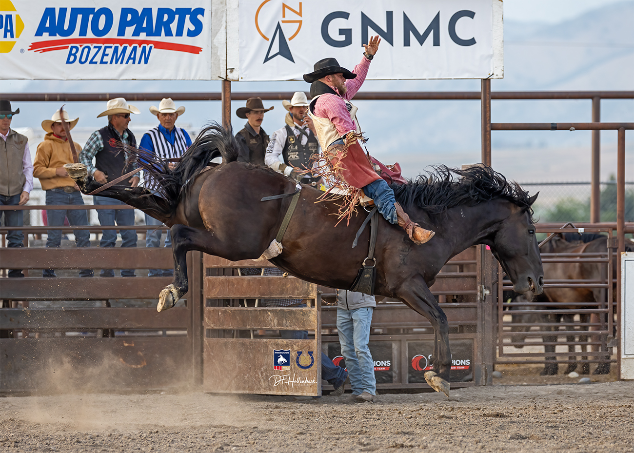 Bozeman Stampede