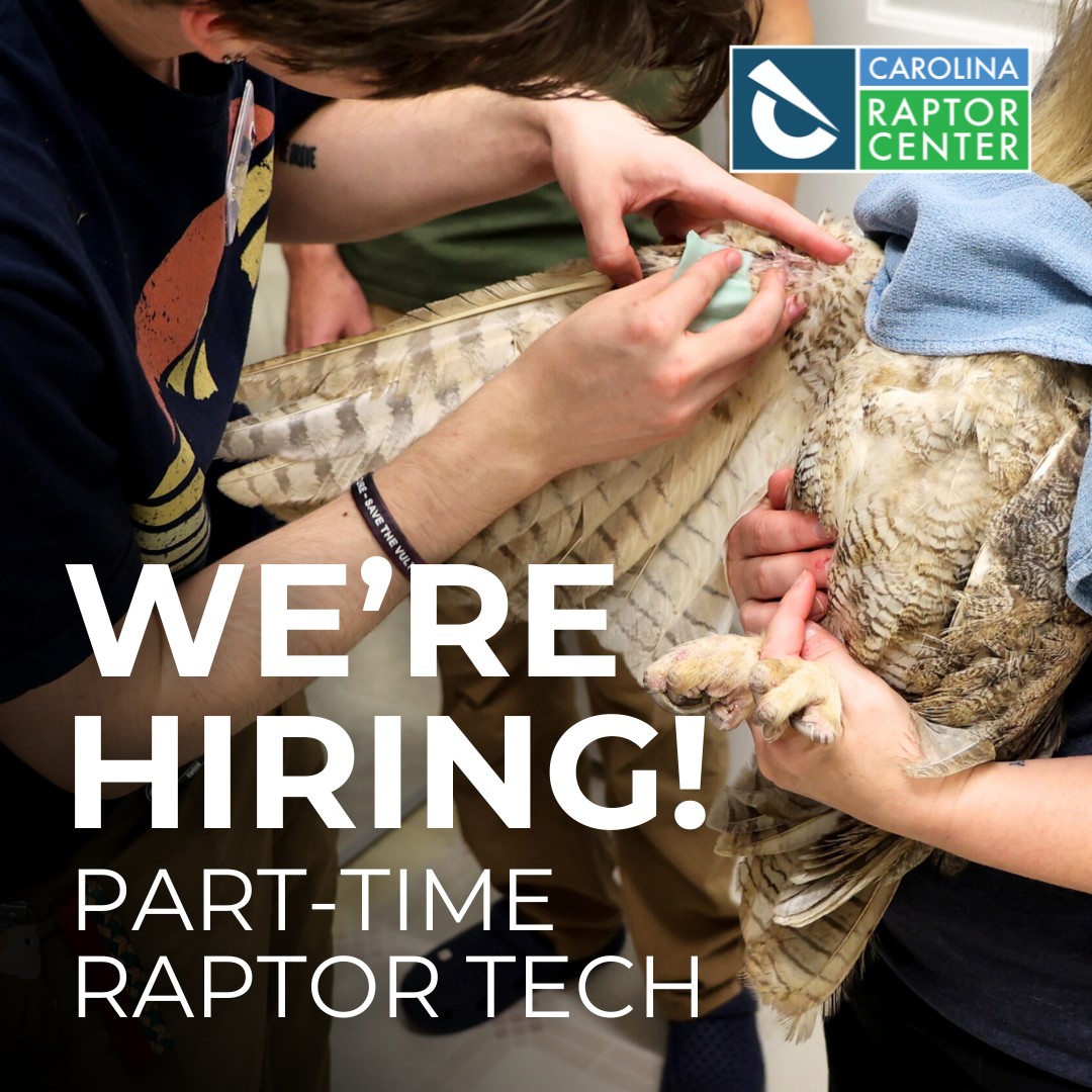 🌟 Join Our Team as a Raptor Tech!... - Carolina Raptor Center
