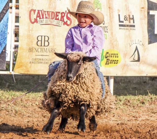 TK Pro Rodeo - Mutton Busters!!! The Man Vs Beast Bull...