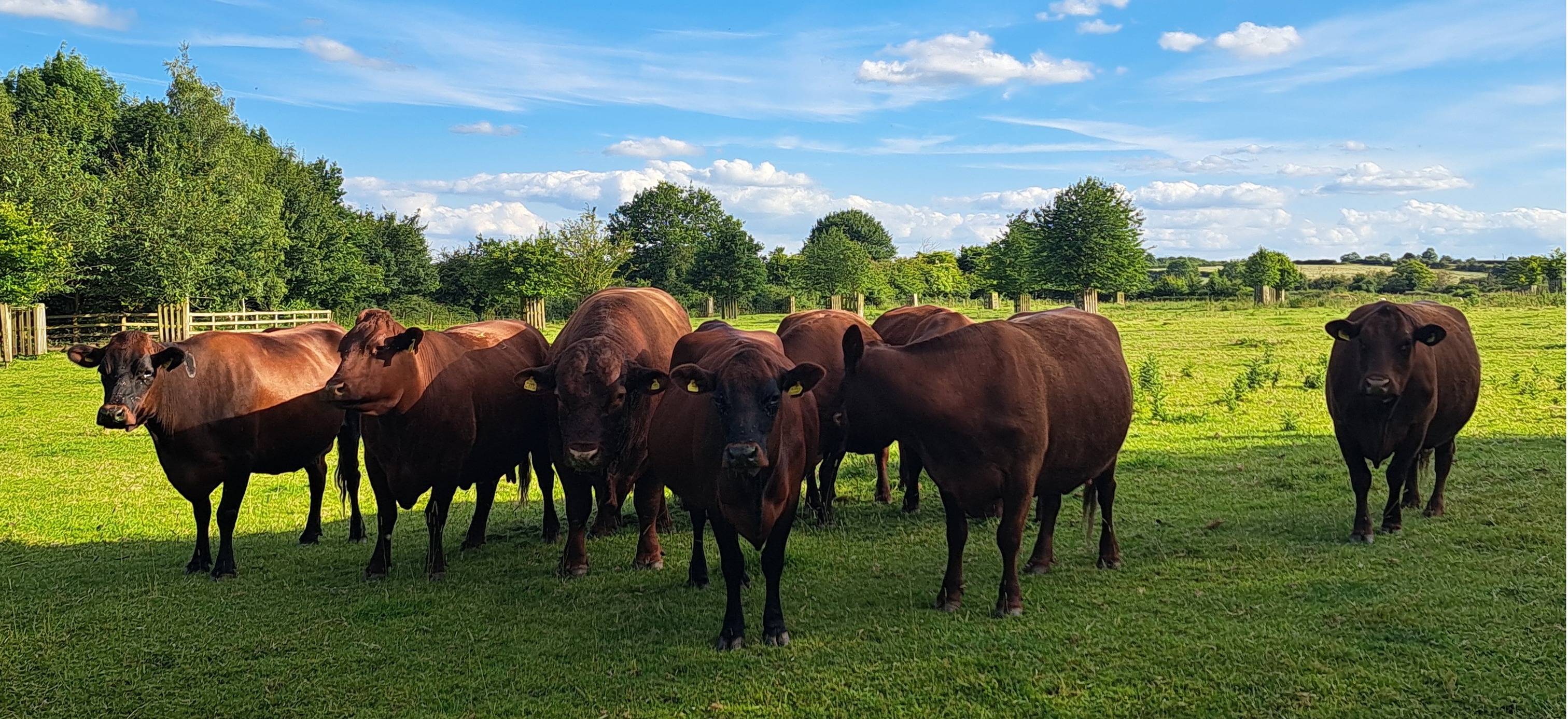 Whaddon Grove Farm | Trowbridge