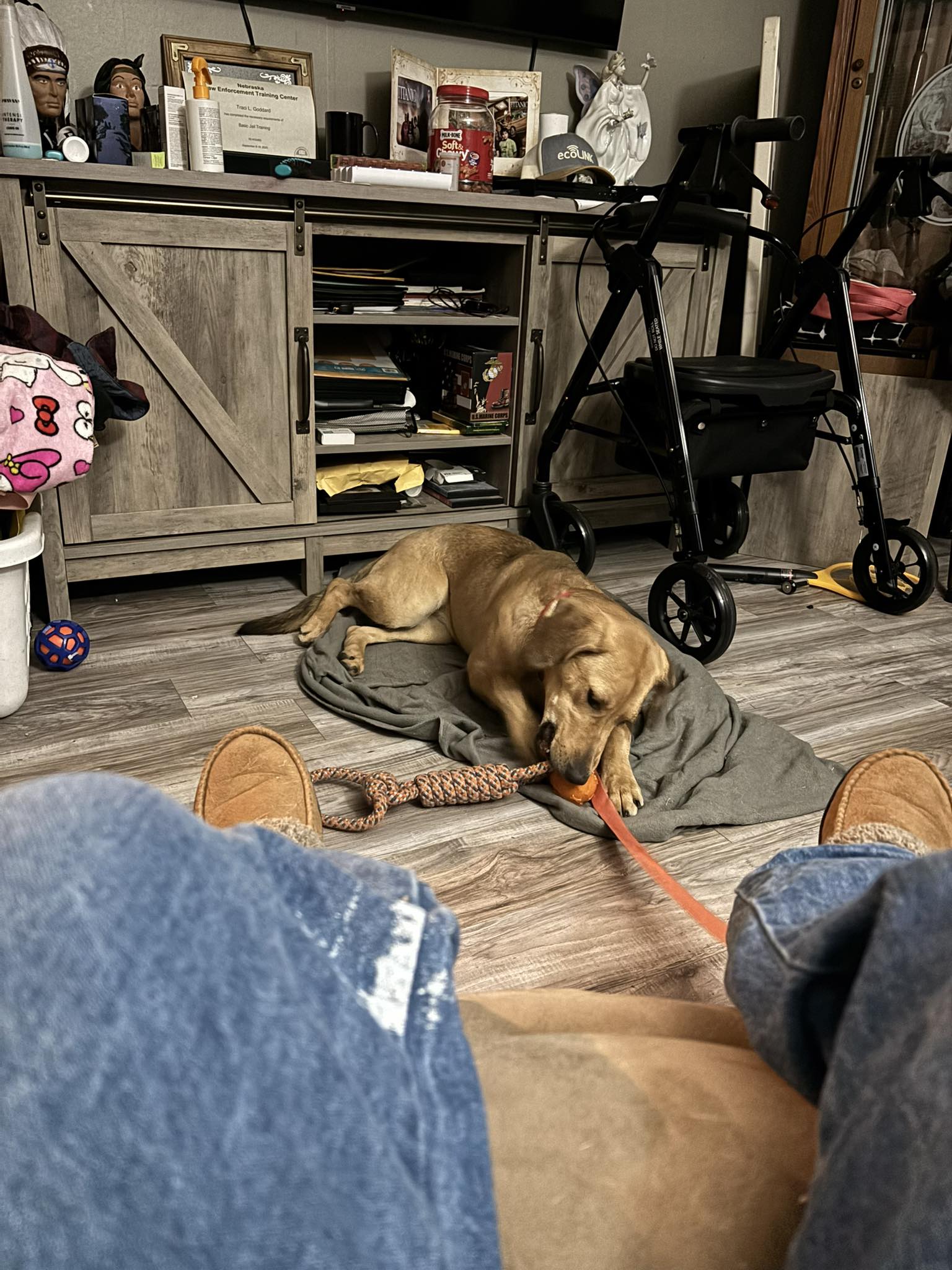 Brown - 🌟Adoption update!!!🌟 Patty was one of the 5 pups found with ...