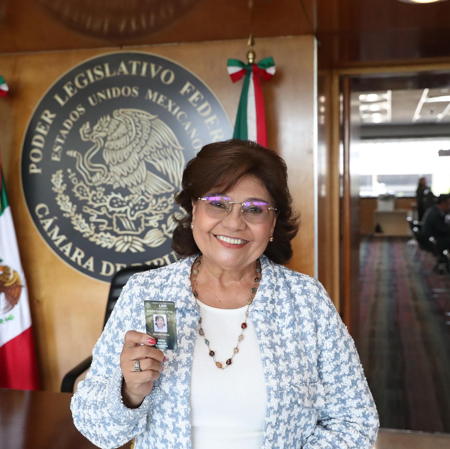 Diputada Sonia Rincón Chanona