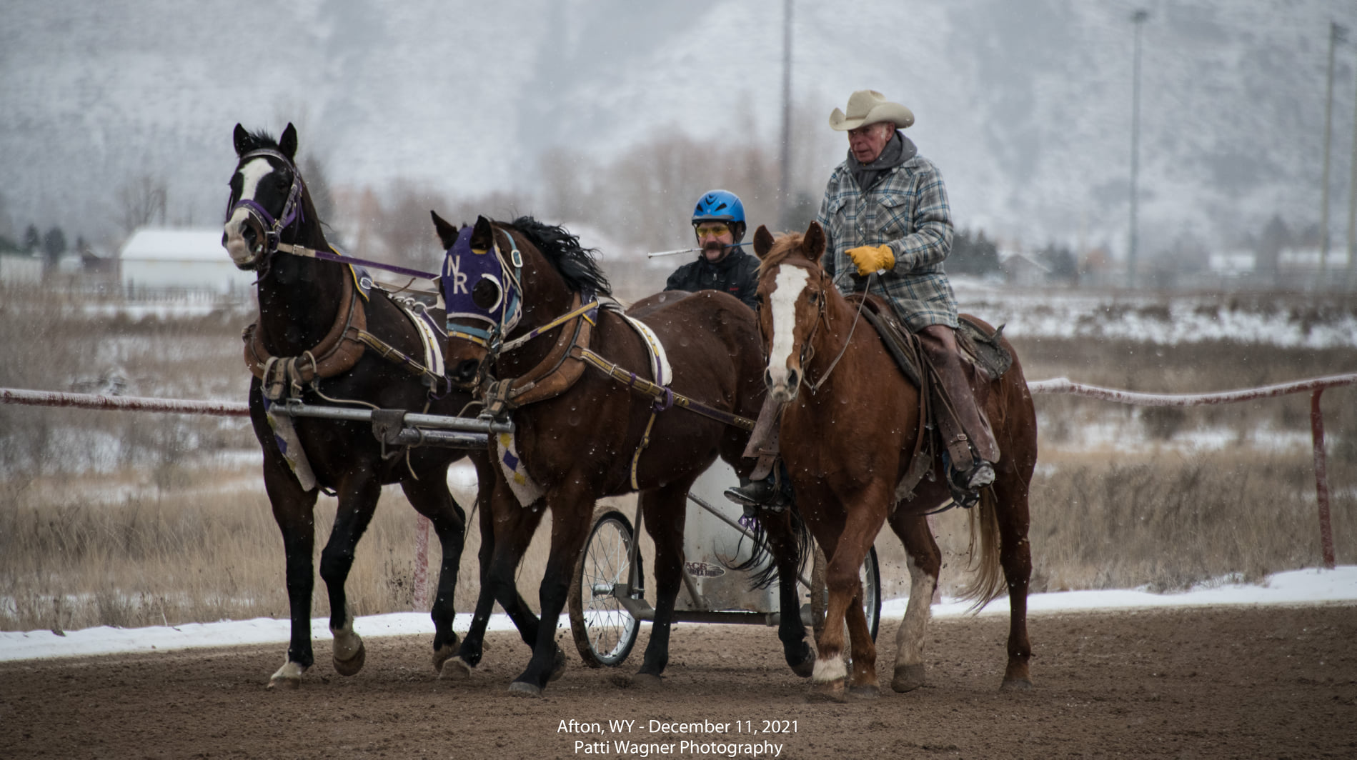 The Toby... - All American Cutter/Chariot Races - Afton, WY | Facebook