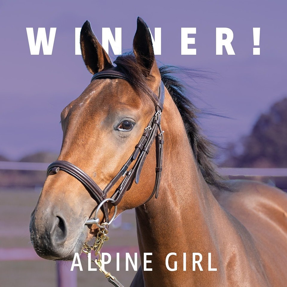 Owners Group - Alpine Girl wins again at Lingfield for... | Facebook