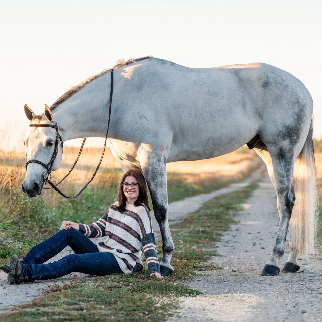 DGS Replicated - AQHA Champion