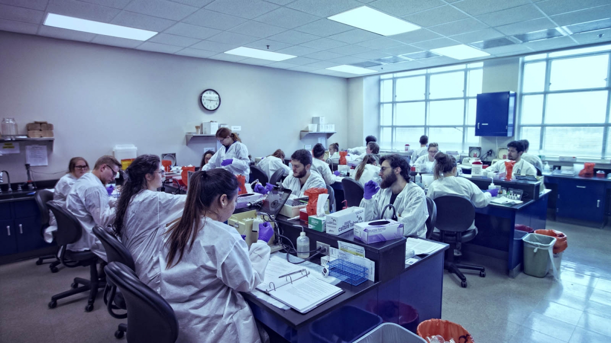 University of Kentucky Medical Laboratory Science Program | Lexington KY