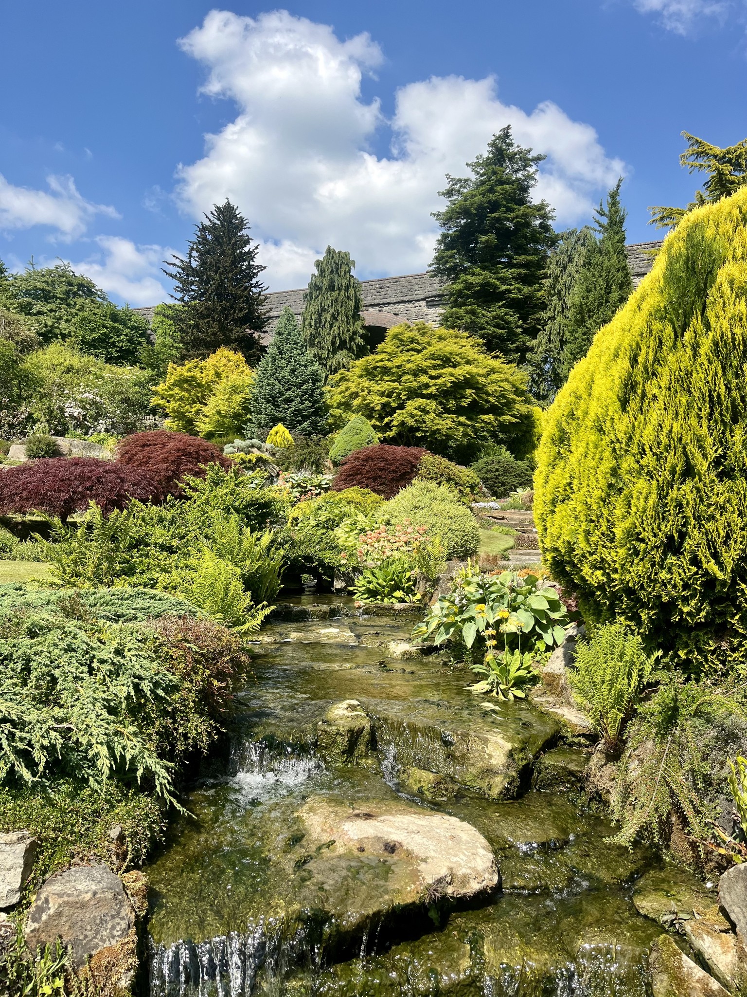 The Rock Garden at... - RHS - Royal Horticultural Society | Facebook