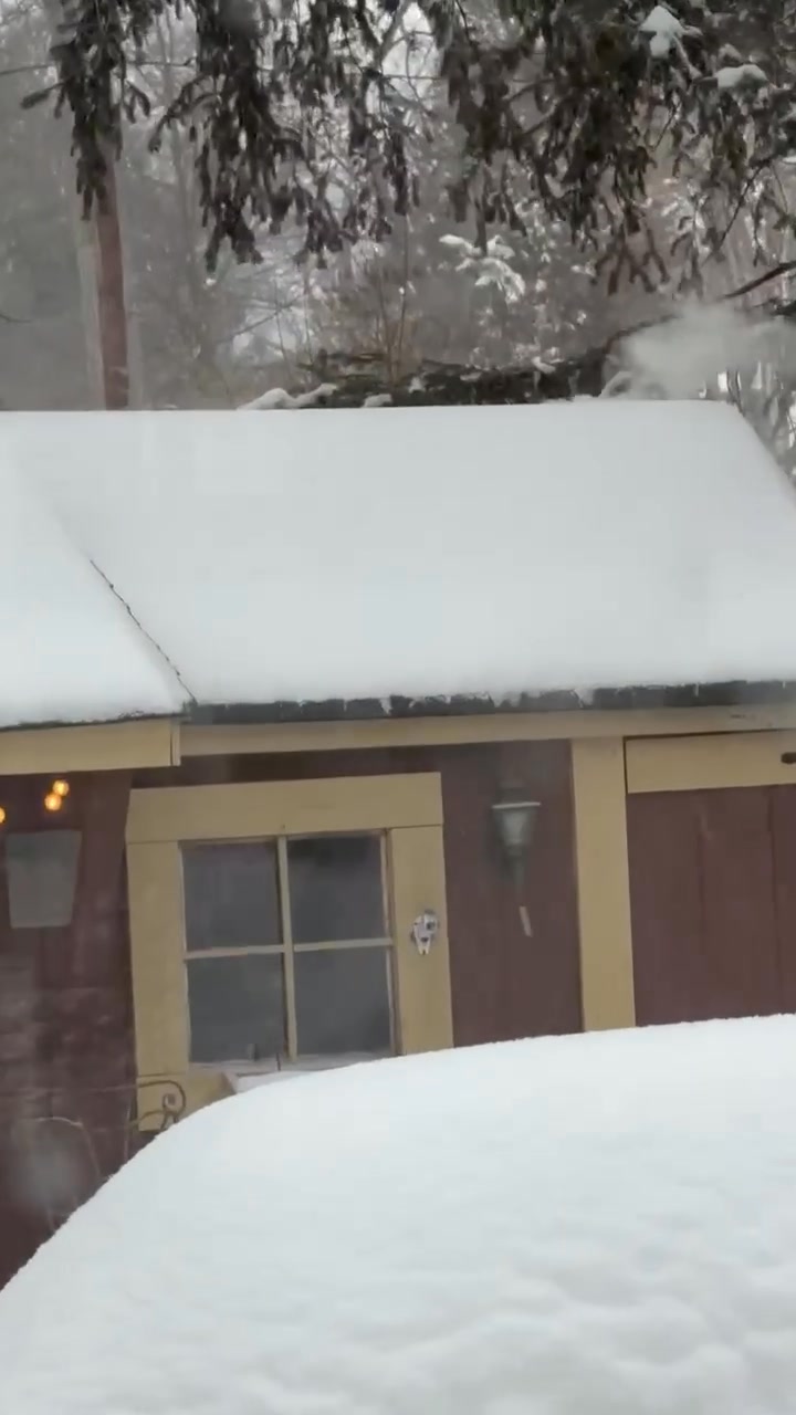 Shed Session featuring Cole Bushell