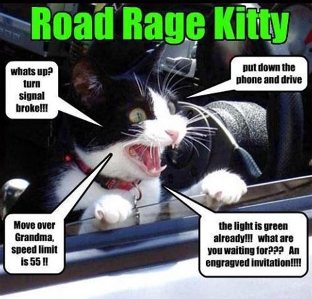 Road Rage Quotes It's Not Road Rage If You Have Sirens: EMT Notebook