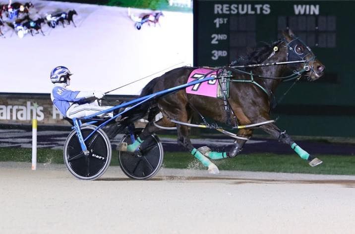 Indiana Standardbred Breed Development - DO YOU HAVE YOUR 2019 IHRC ...